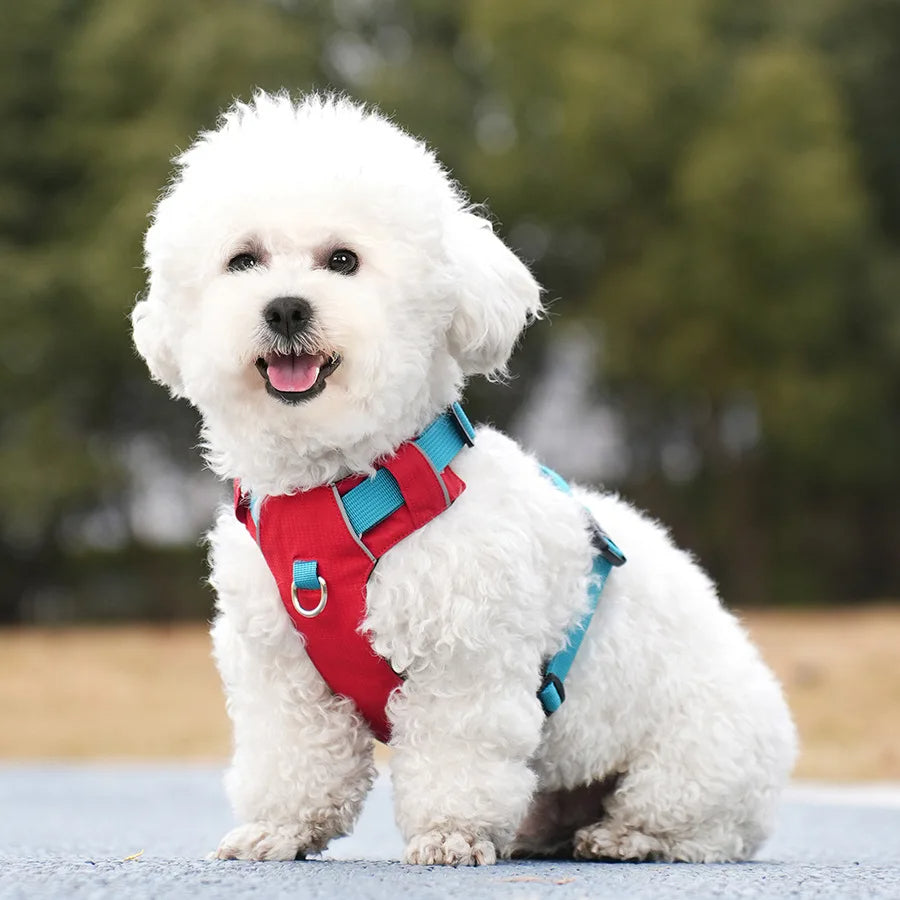Bella™ Reflective Waterproof Harness Comfortable, Adjustable Dog Harness