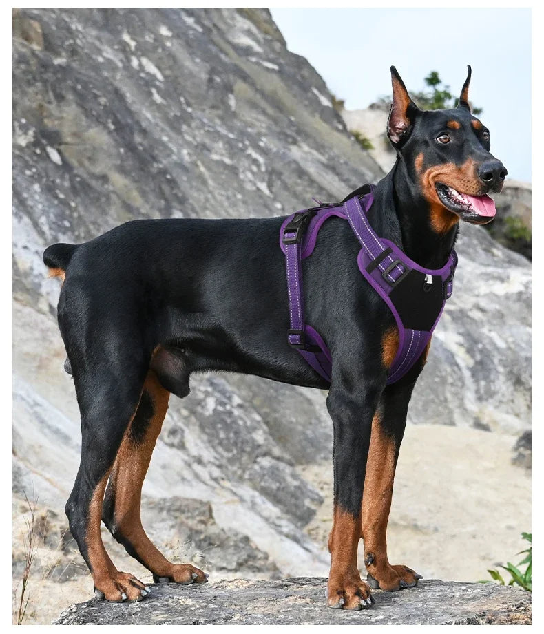 Max™ Adjustable No-Pull Dog Harness