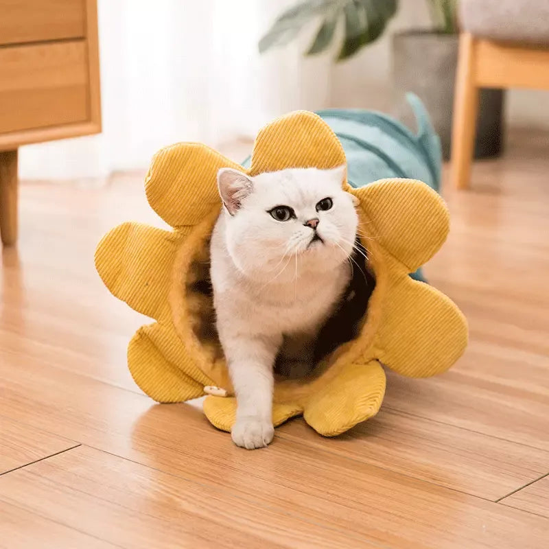 Luna™ Cat Tunnel – Colorful Flower Design for Play and Relaxation