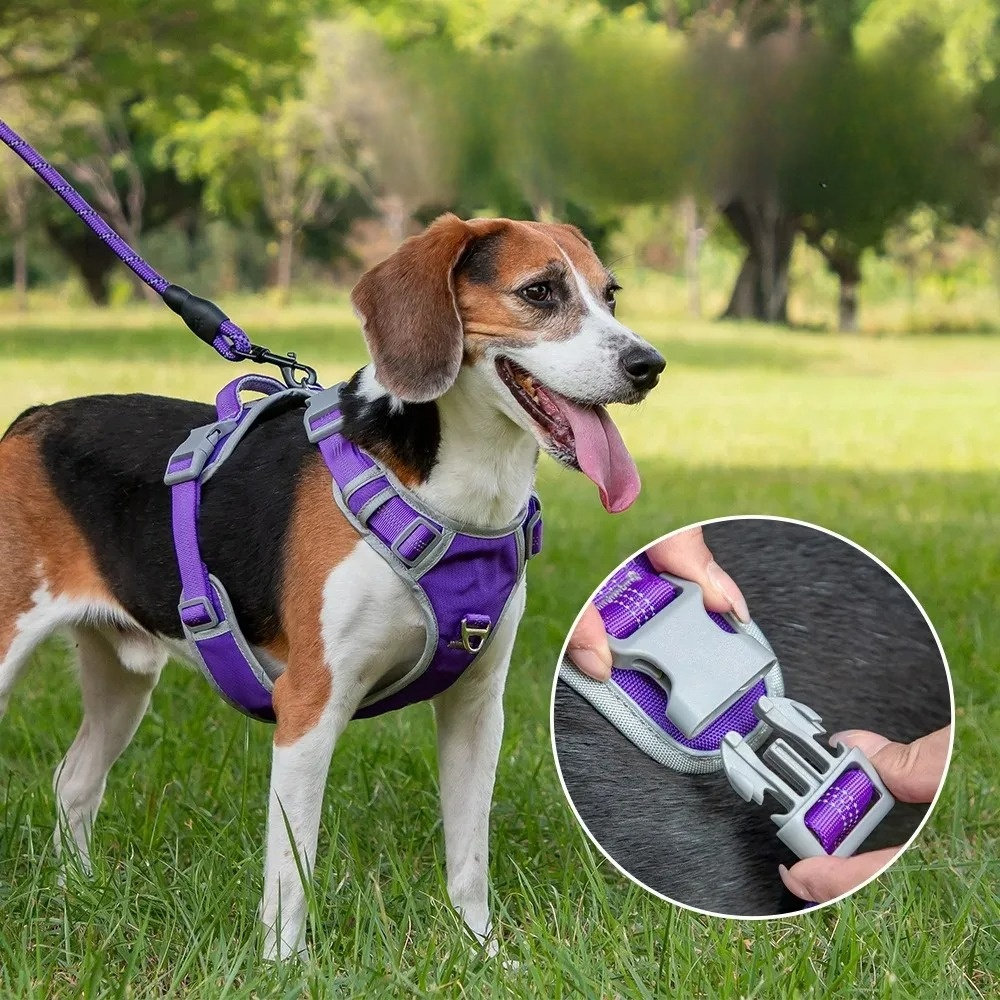 Nova Double-Layer Dog Harness