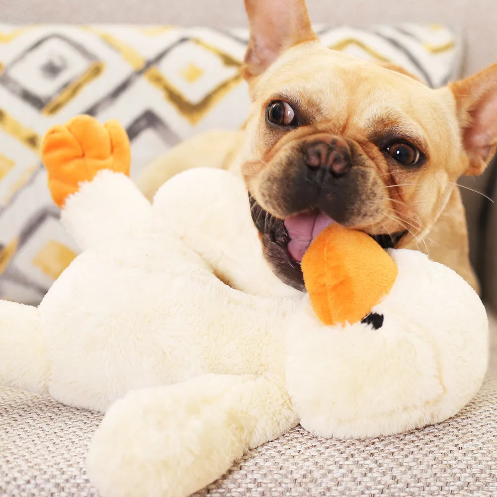 Bella™ Plush Duck Dog Toy with Squeaker and Cuddly Comfort
