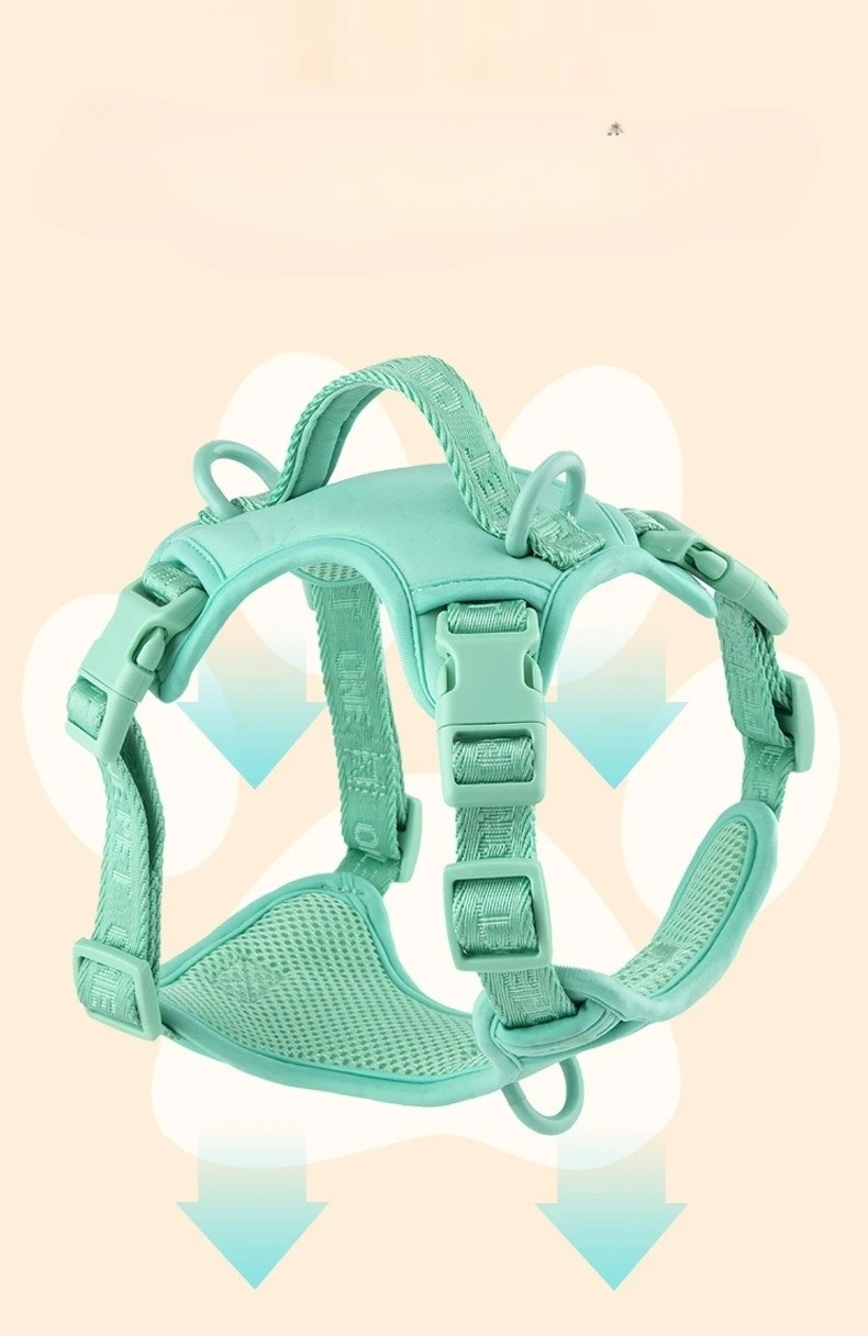 Daisy Adjustable Dog Harness & Leash Set