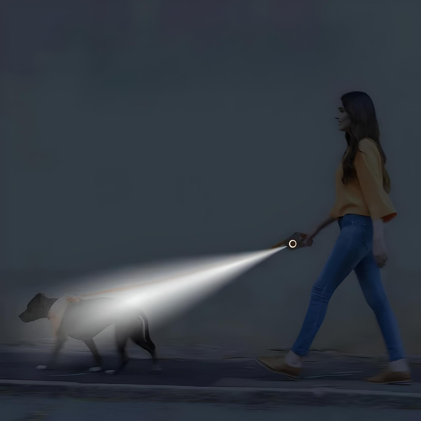 Lunvix | Retractable dog leash with LED flashlight for night walks (16 ft)