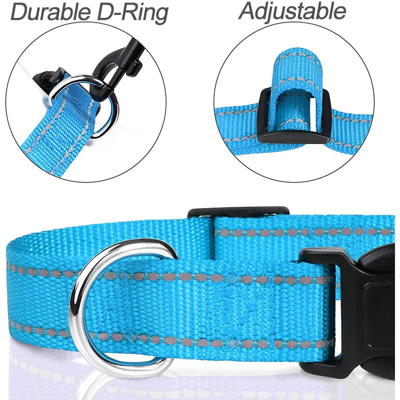 Alurex | Adjustable decorative dog collar for small & large breeds