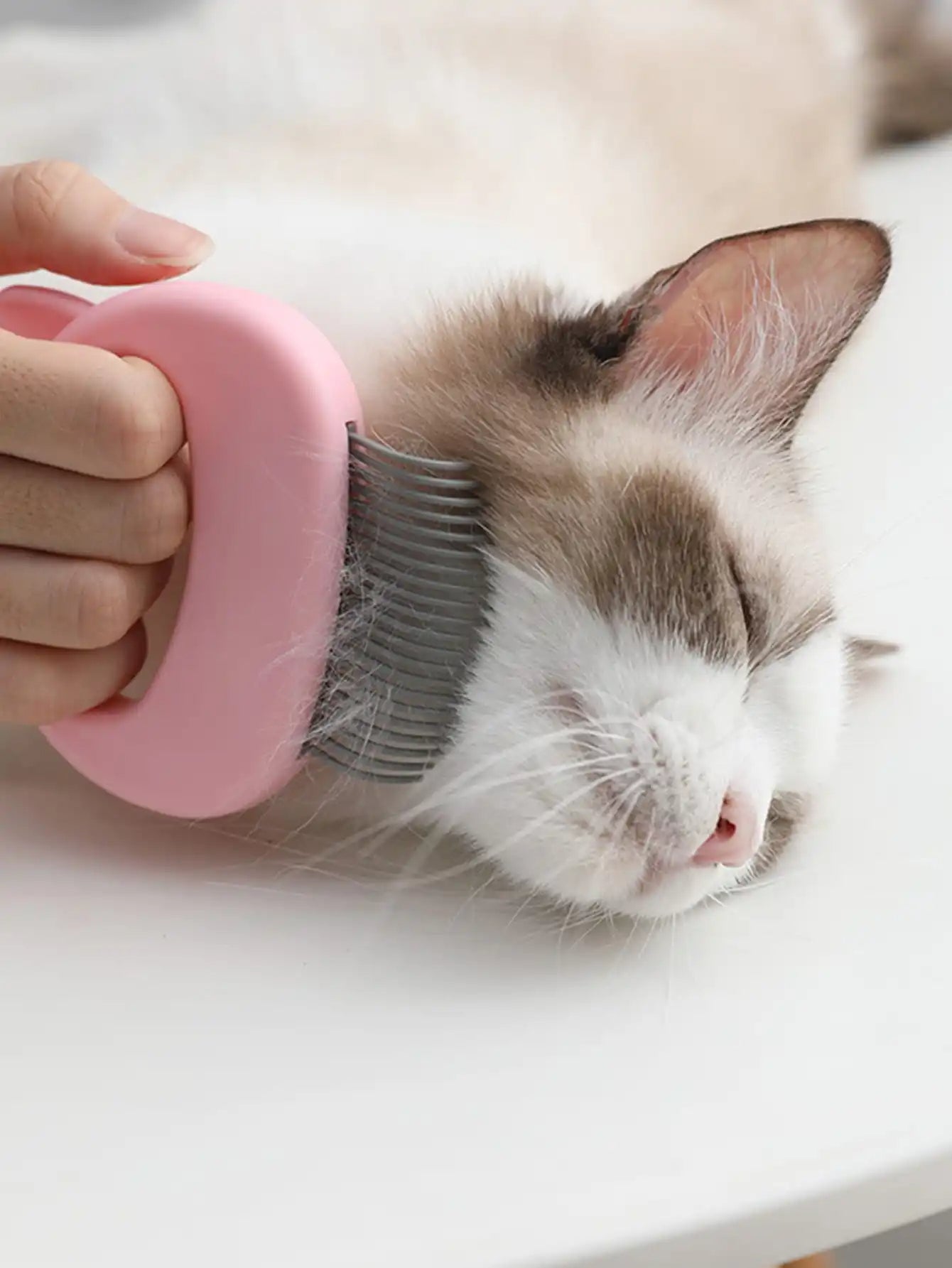 Luna™ Cat Grooming Massaging Shell Comb – 3-Piece Set