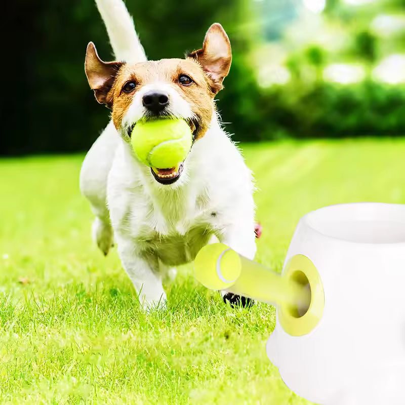 Ziggy™ Automatic Dog Ball Launcher Interactive fetch machine