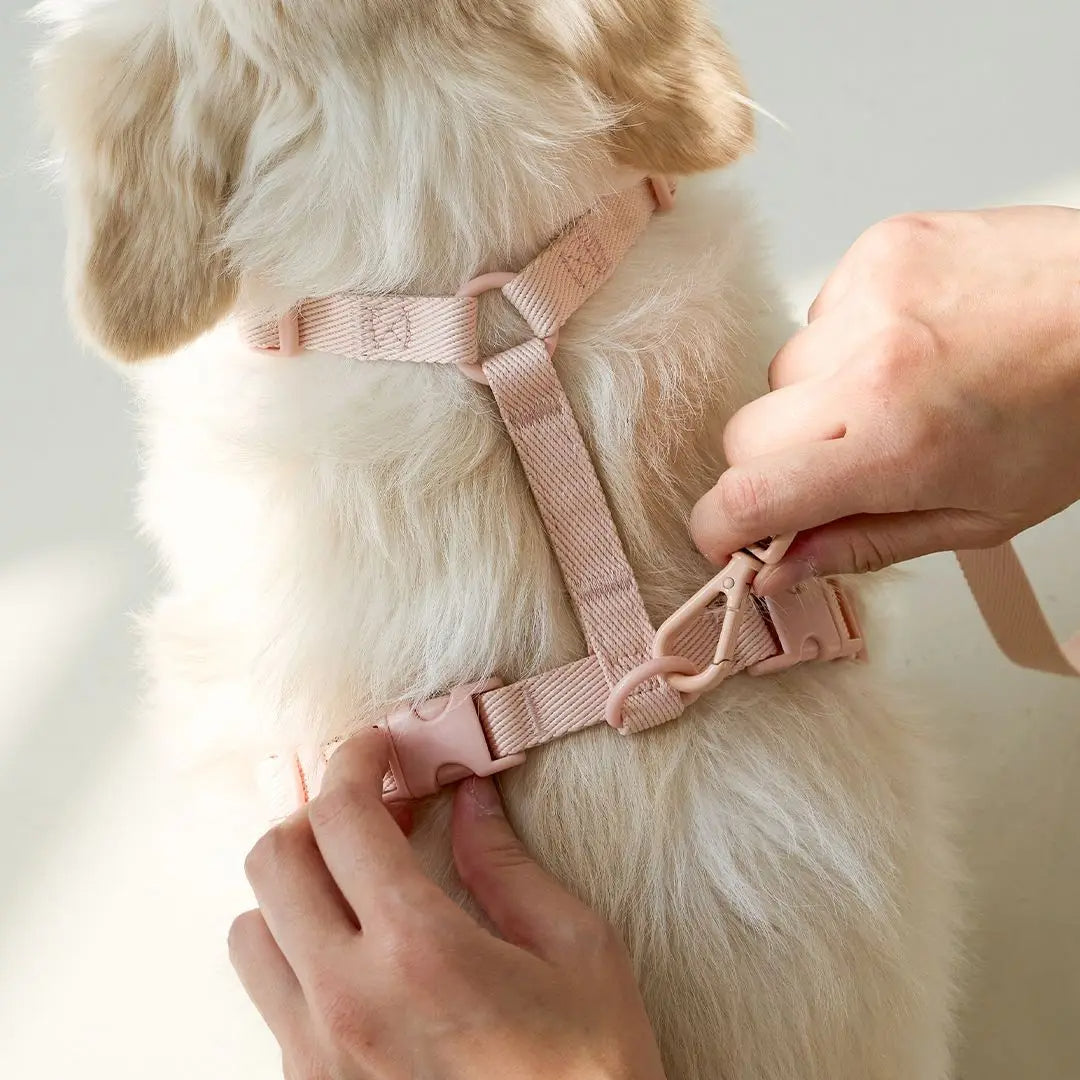 Cleo™ Macaron Dog Harness Set Dual-head leash