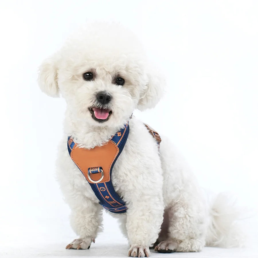 Savannah™ Adjustable Dog Harness Stylish & Comfortable