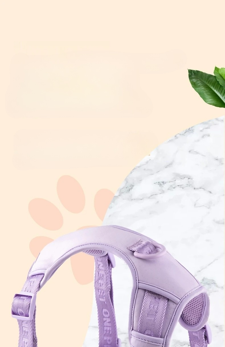 Daisy Adjustable Dog Harness & Leash Set