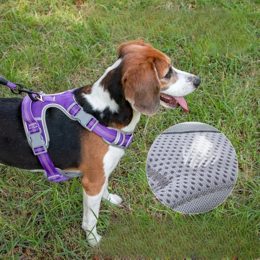 Nova Double-Layer Dog Harness