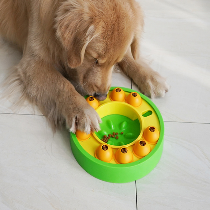 Milo™ Puzzle Activity Feeding Station with Interactive Slow Feeder Design