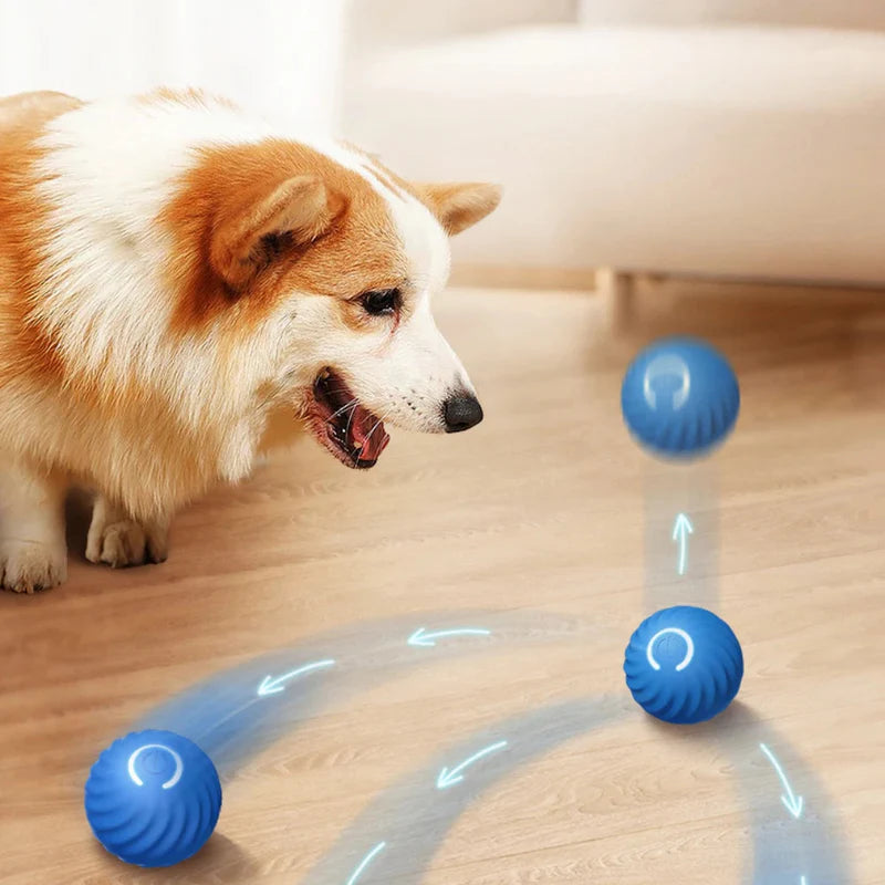 Max™ Interactive LED Bouncing Ball