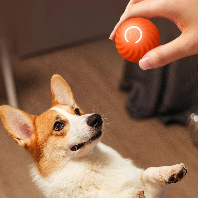 Max™ Interactive LED Bouncing Ball