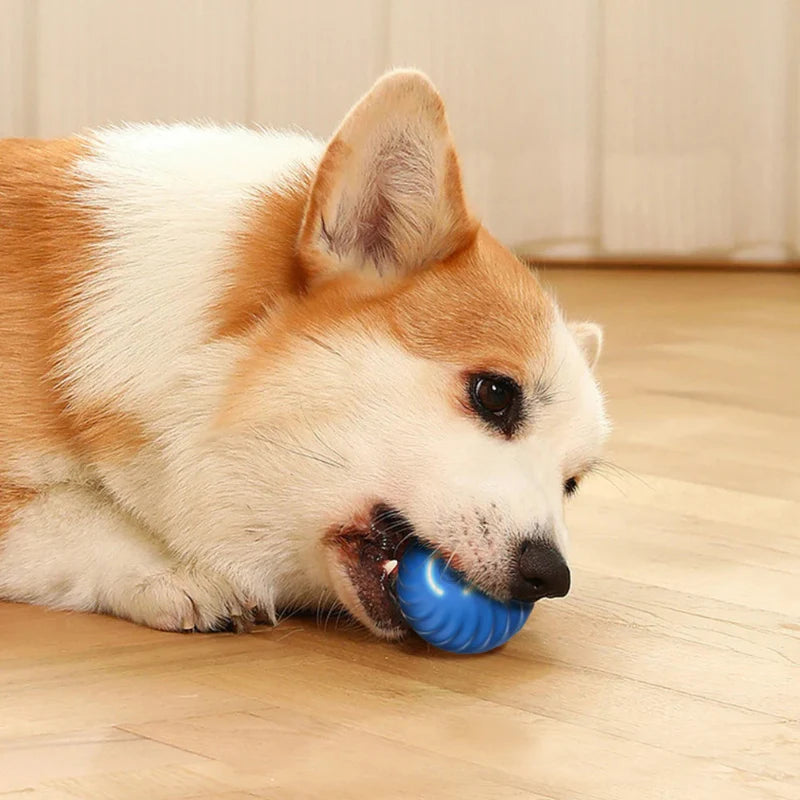 Max™ Interactive LED Bouncing Ball