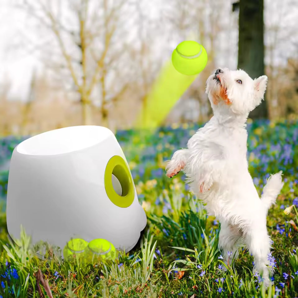 Ziggy™ Automatic Dog Ball Launcher Interactive fetch machine