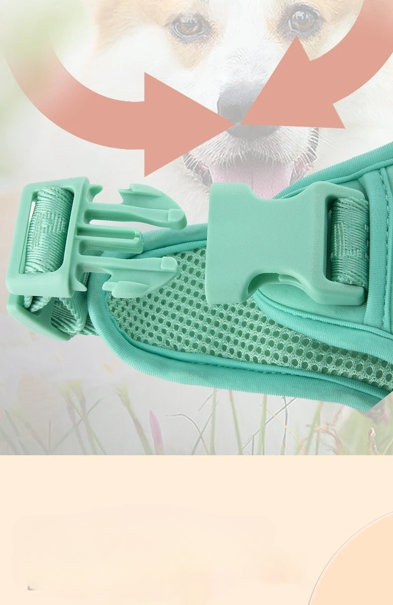 Daisy Adjustable Dog Harness & Leash Set
