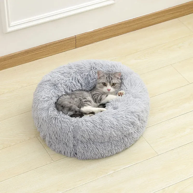 Molly™ Long Plush Dog Bed – The Softest Retreat for Peaceful Sleep