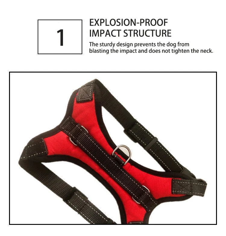 Bolt™ Quick-Release Adjustable Dog Harness