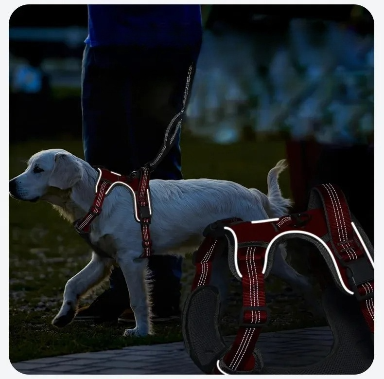 Nova Double-Layer Dog Harness