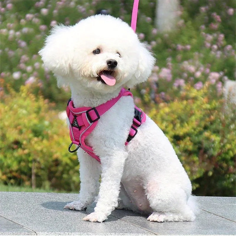 Toby No-Pull Dog Harness Set Reflective adjustable