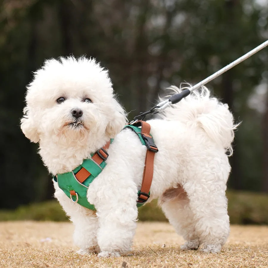 Bella™ Reflective Waterproof Harness Comfortable, Adjustable Dog Harness
