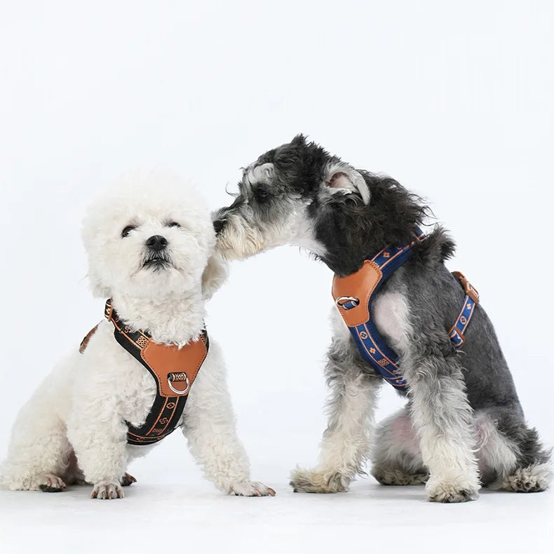 Savannah™ Adjustable Dog Harness Stylish & Comfortable