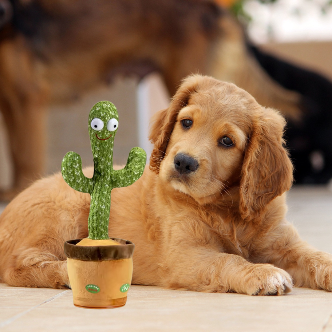 Max Talking Cactus Dog Toy with Voice Repeater and Music Effects
