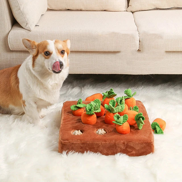 Bailey™ Carrot Field Interactive Sniffing Toy for Dogs