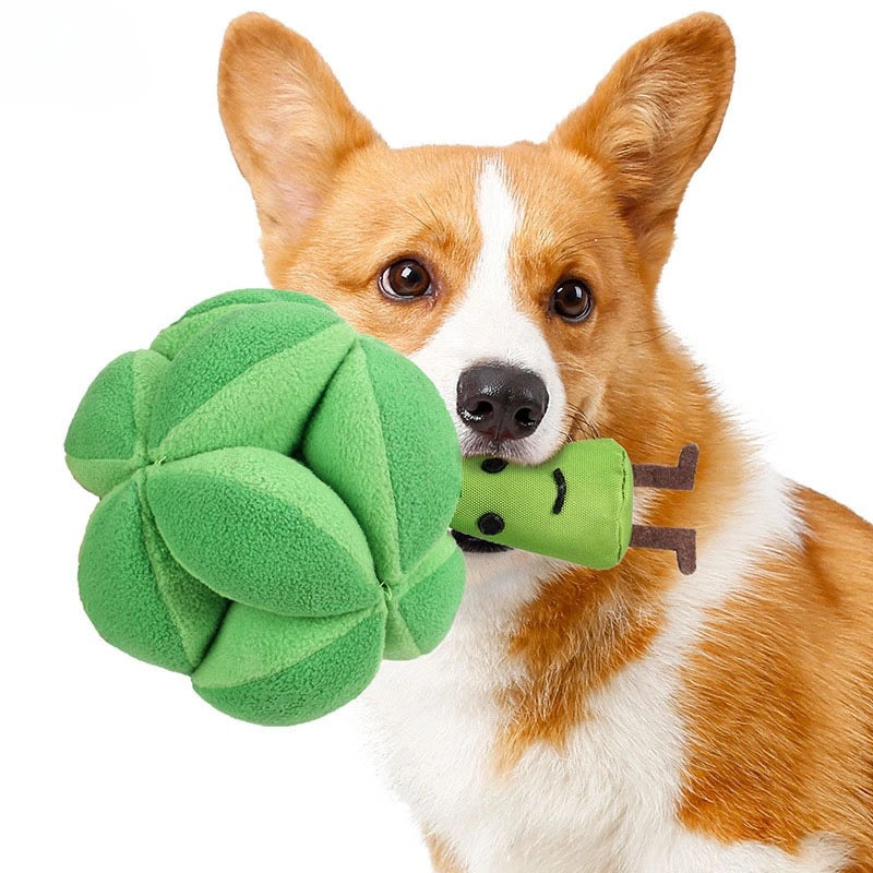 Brody™ Sniffing Broccoli Interactive Treat Toy for Dogs and Cats