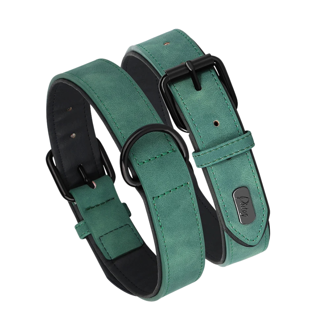 Rex Soft Padded PU Leather Dog Collar 1 pc