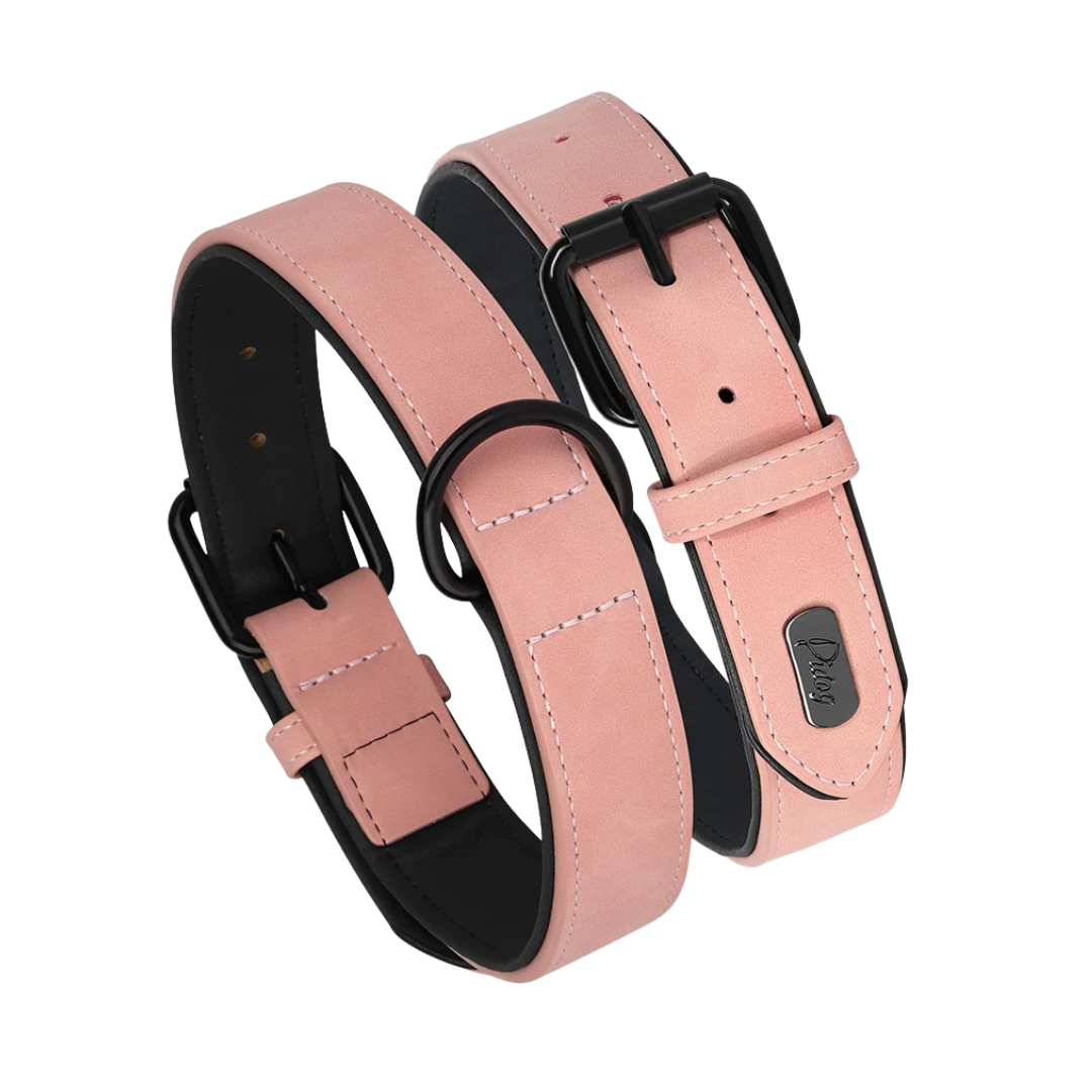Rex Soft Padded PU Leather Dog Collar 1 pc