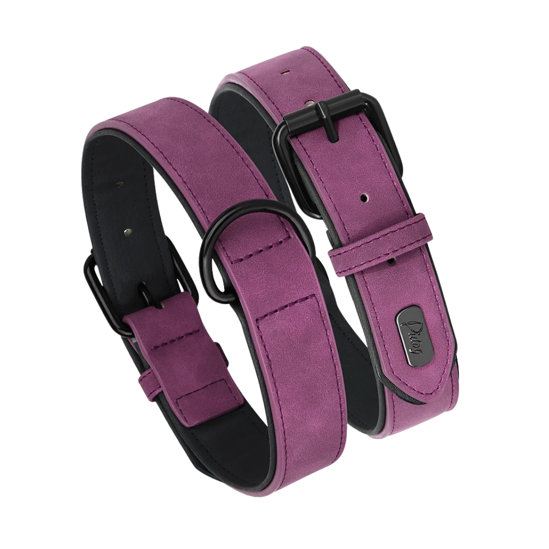 Rex Soft Padded PU Leather Dog Collar 1 pc