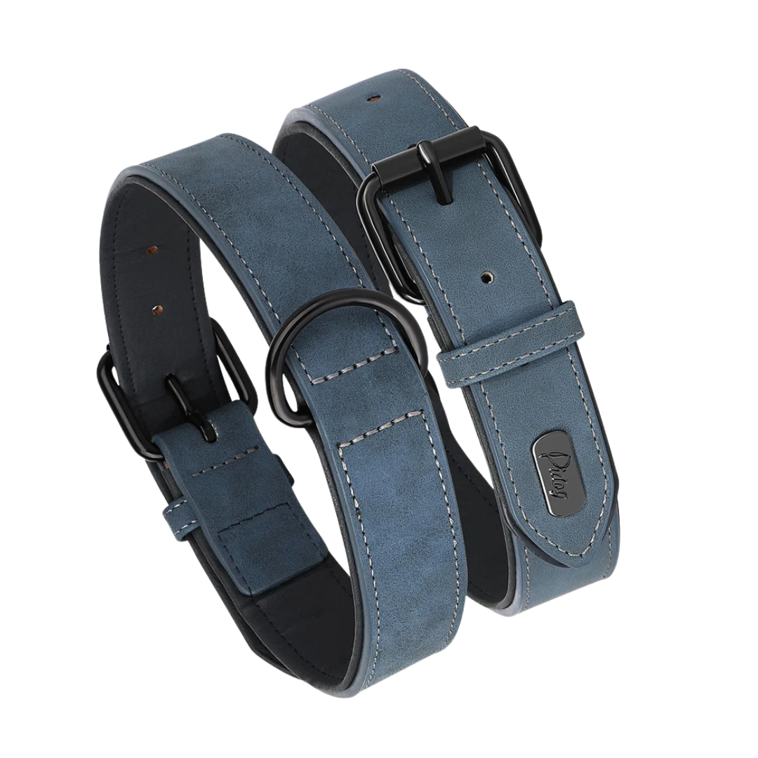 Rex Soft Padded PU Leather Dog Collar 1 pc