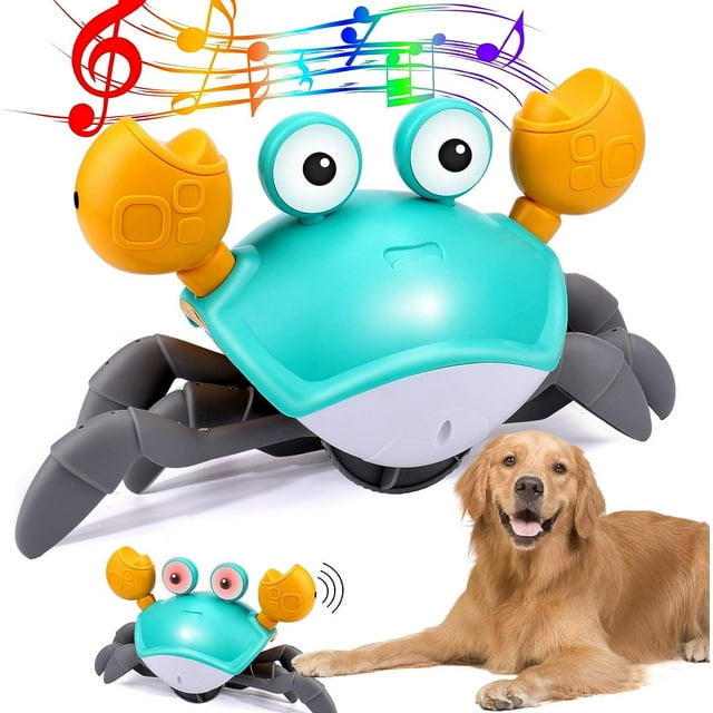 Marley™ Dancing Crab Interactive Dog Toy
