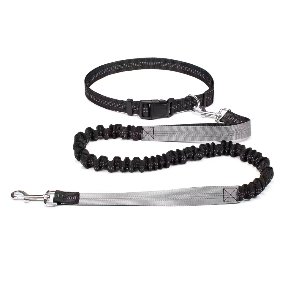 Aven Pro | Hands-free dog leash with waist belt & dual-bungee