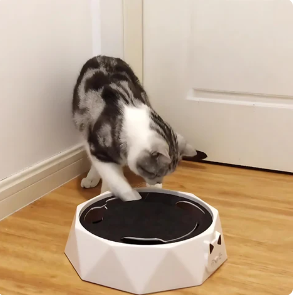 HuntMaster™ – Interactive Cat Toy with Moving Mouse