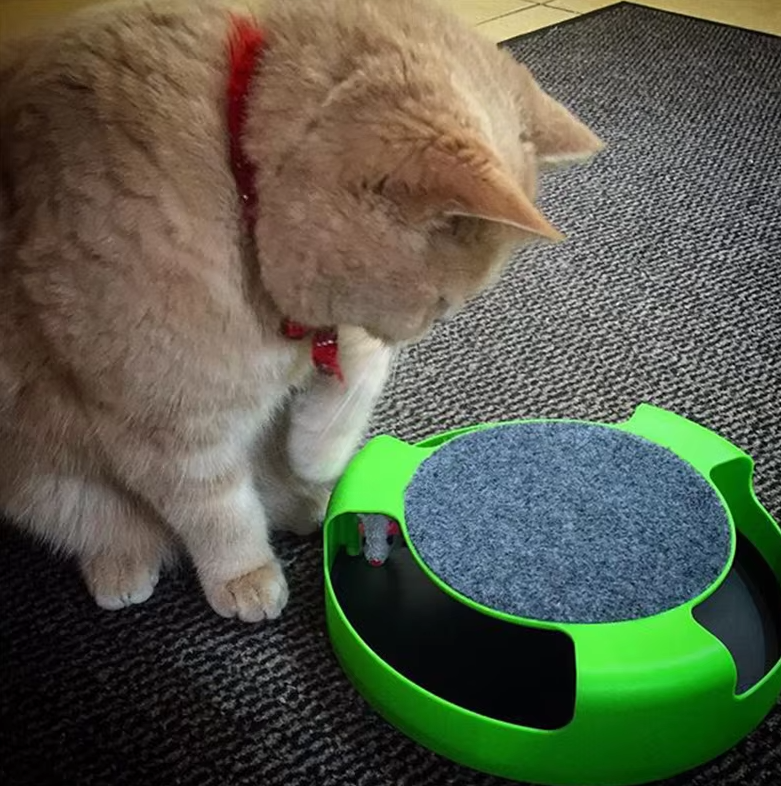 Whiskerhunt™ – Interactive Cat Toy with Moving Mouse
