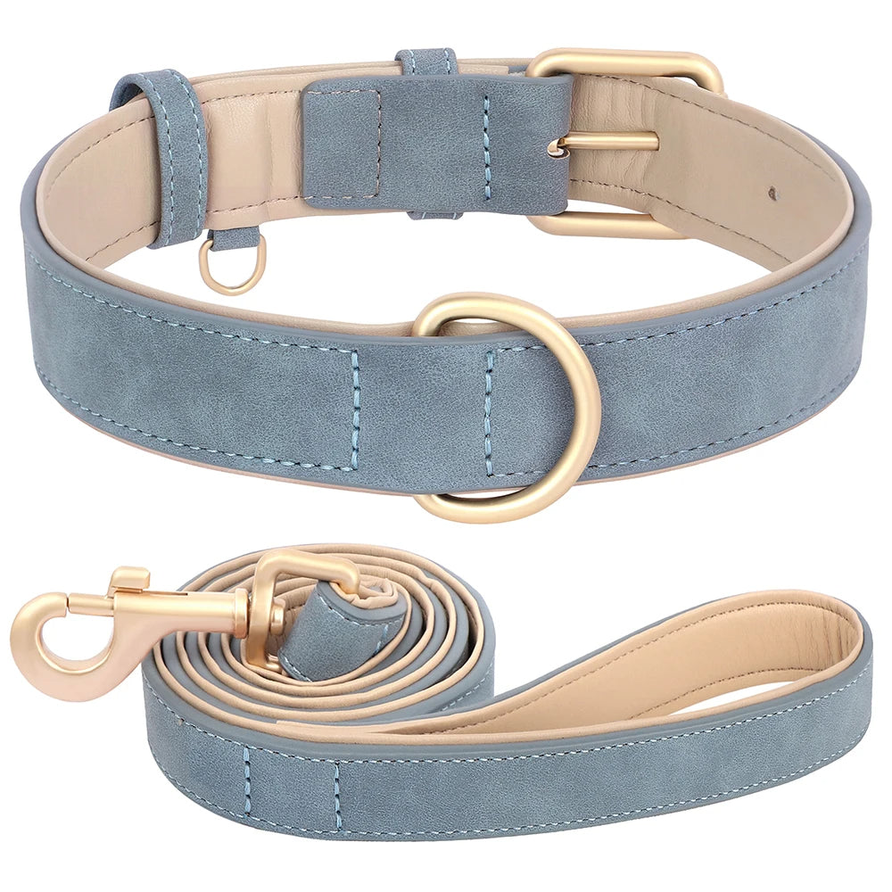 Daisy | Soft padded dog collar and leash set for small & medium dogs