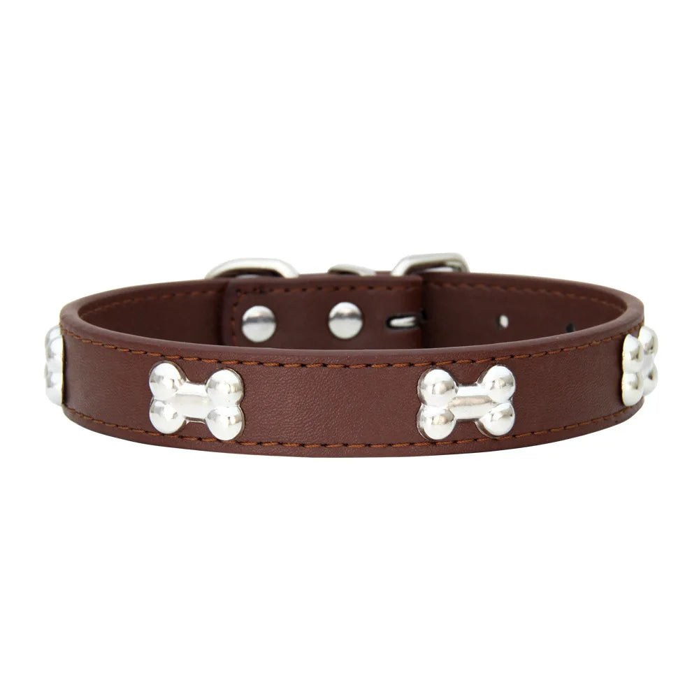 Orvelle | Durable soft-fit dog collar for small dogs & newborn puppies