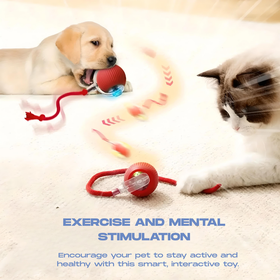 Pawsense™ Smart Interactive Cat & Dog Ball