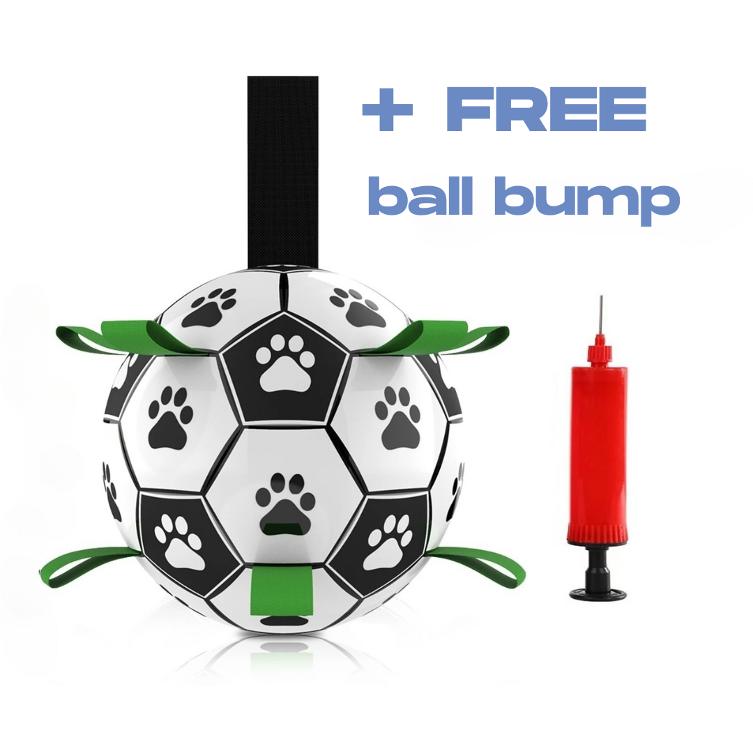 Baxter™ Dog Soccer Ball Pump Included
