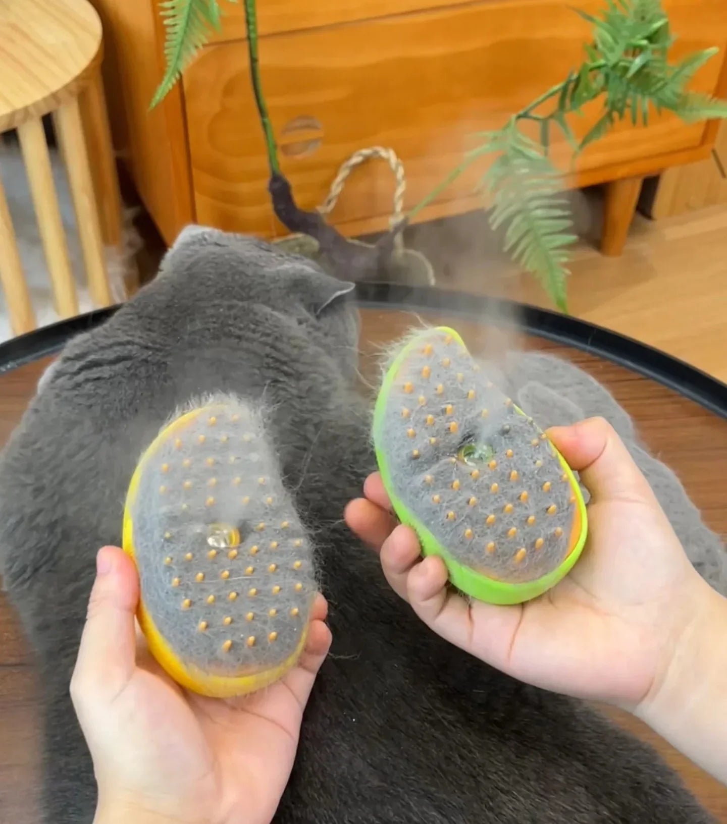 Molly™ Pet Grooming Brush with Nano Mist Technology