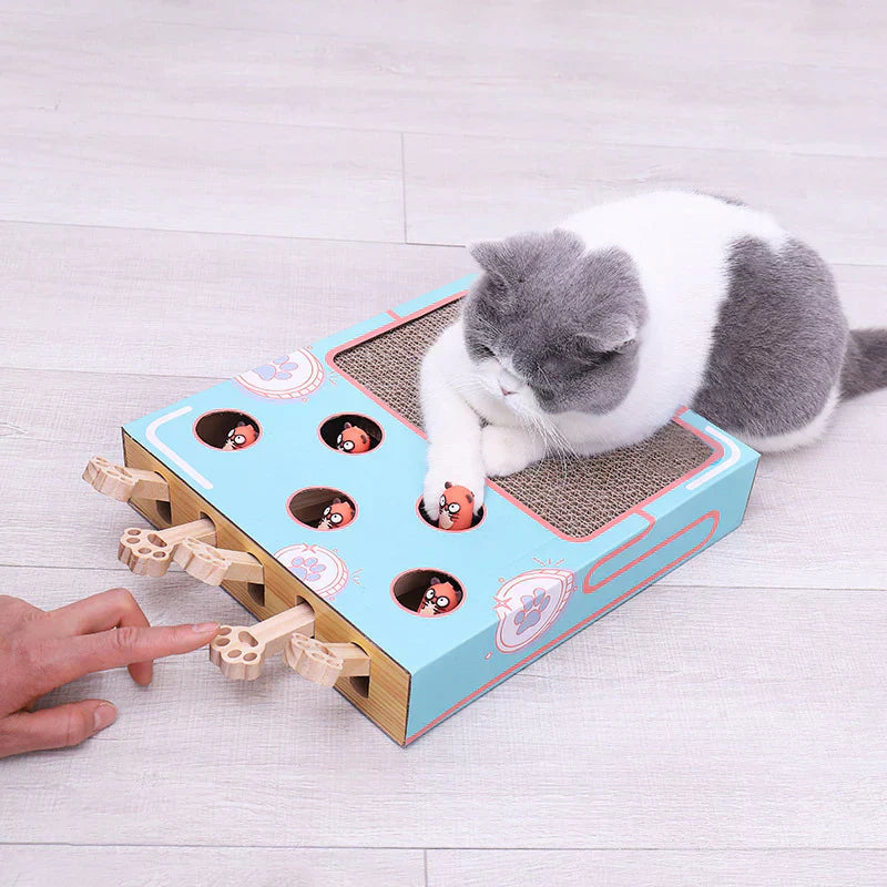 Milo™ 3-in-1 Cat Play Box with Scratcher, Paw Sliders & Peek-a-Boo Toys