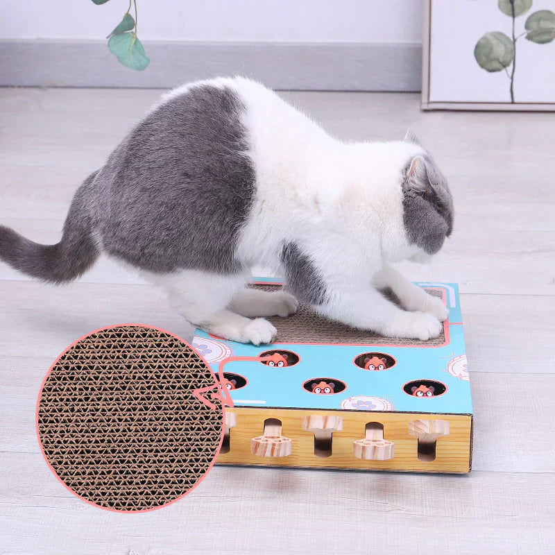 Milo™ 3-in-1 Cat Play Box with Scratcher, Paw Sliders & Peek-a-Boo Toys