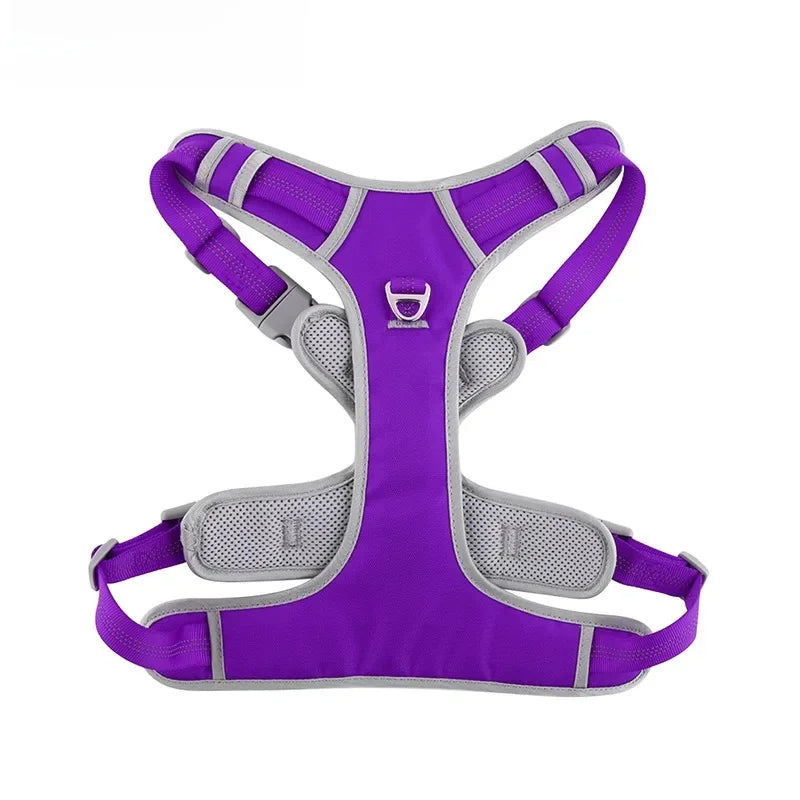 Nova Double-Layer Dog Harness