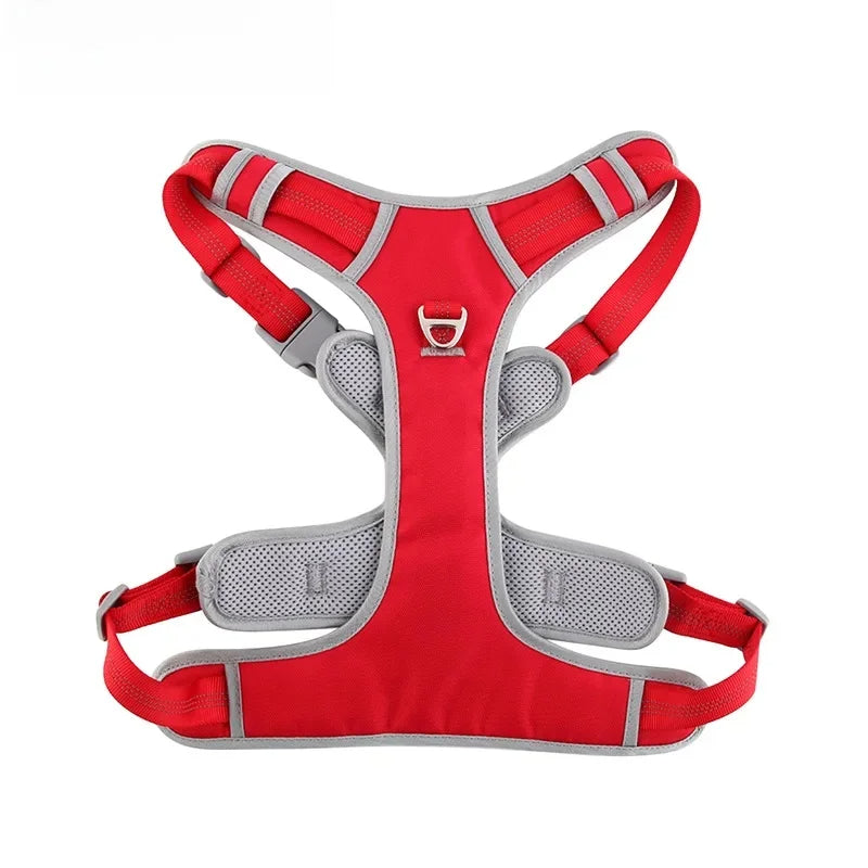 Nova Double-Layer Dog Harness