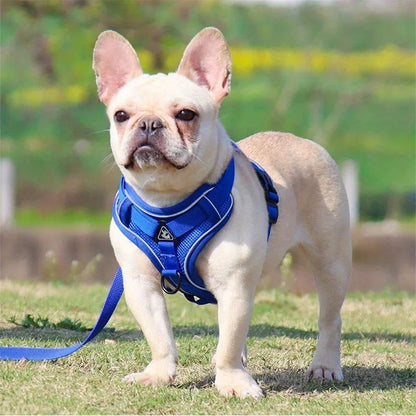 Toby No-Pull Dog Harness Set Reflective adjustable