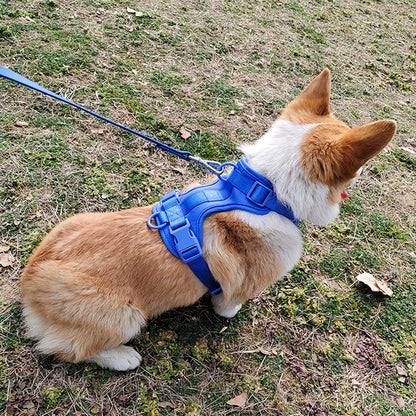 Bailey Lightweight Dog Harness Breathable adjustable vest strap