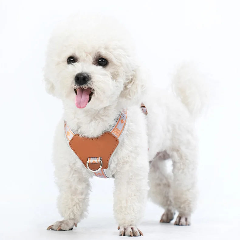 Savannah™ Adjustable Dog Harness Stylish & Comfortable
