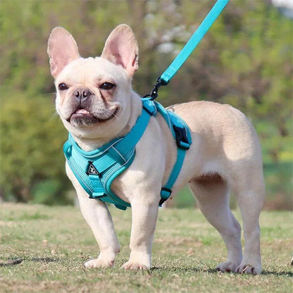 Toby No-Pull Dog Harness Set Reflective adjustable